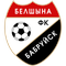 Belshina Bobruisk