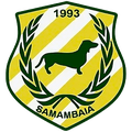 Samambaia