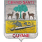Escudo Grand Santi