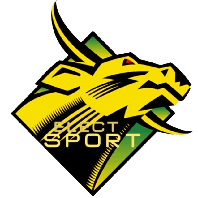 Elect-Sport