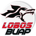 Escudo Lobos Prepa