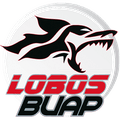 Lobos Prepa