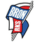 Broń Radom