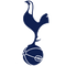 Tottenham Hotspur Sub 21