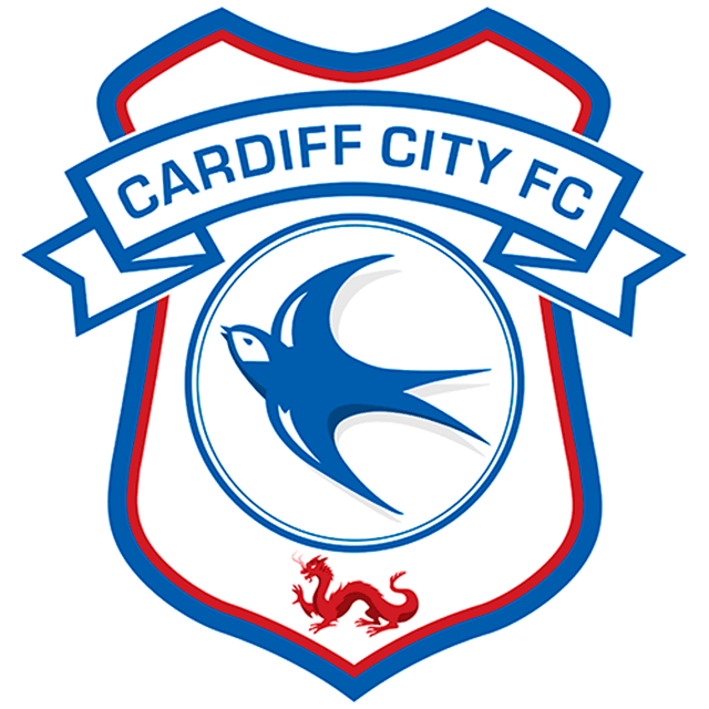 Cardiff City Sub 18