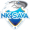 Sava Kranj