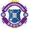 SV Bedum