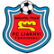 Escudo Liakhvi Tskhinvali