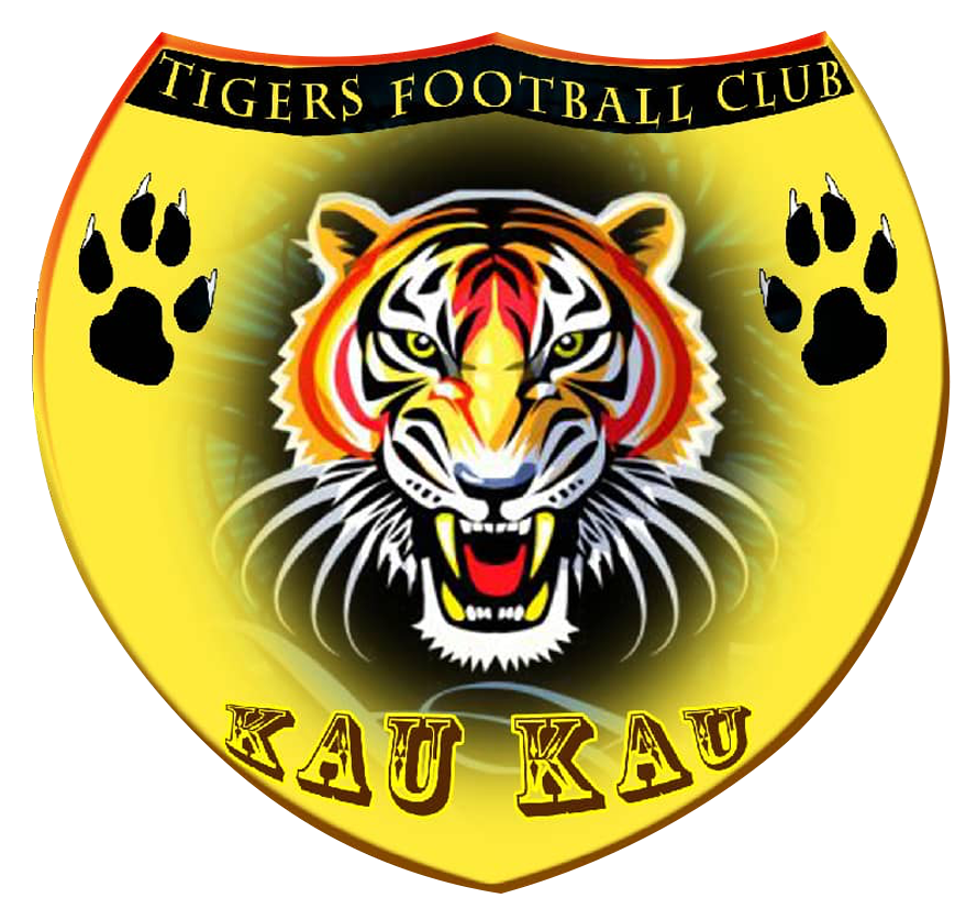 Azam Tigers