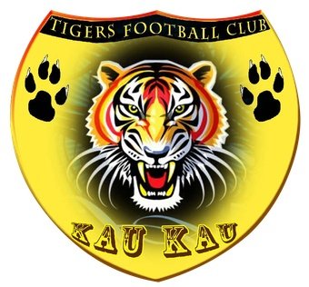 Azam Tigers