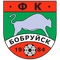FC Bobruisk