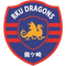 Ryutsu Keizai Dragons
