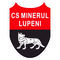 Minerul Lupeni