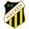 Escudo Hacken Sub 21