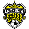 Escudo FK Anyksciai
