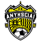 FK Anyksciai