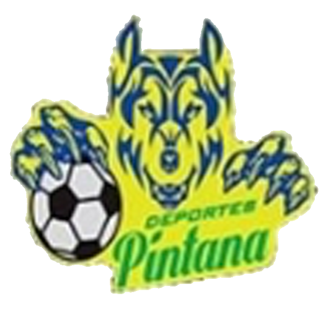 Deportes Pintana