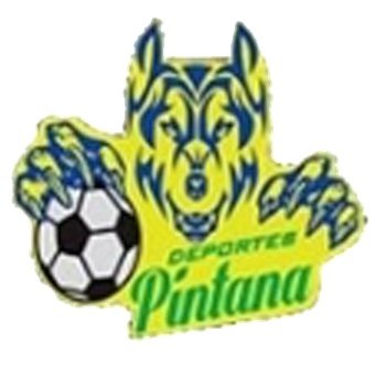 Deportes Pintana