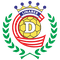 Linares Unido