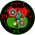 PSNI