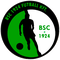 BFC Siófok