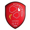Al Qaisoma FC