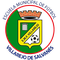 Escudo Mun Villarejo