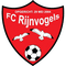 Rijnvogels