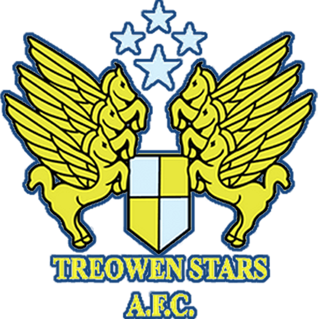 Treowen Stars