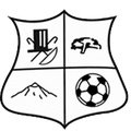 Escudo del Bohemios FS