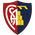 Montevarchi Calcio