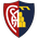 Montevarchi Calcio
