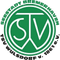 SV Lemwerder