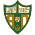 Escudo del Córdoba Patrimonio