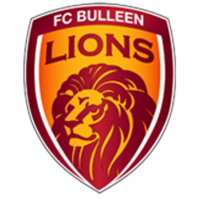 Bulleen Lions