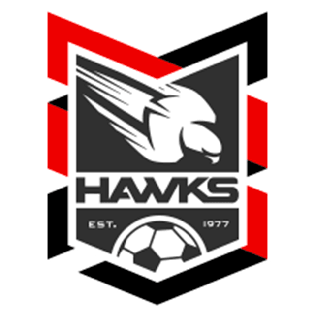 Holland Park Hawks