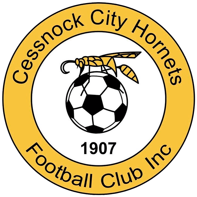 Cessnock City