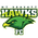 Mt Gravatt Hawks
