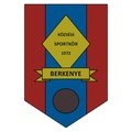 Berkenye