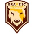 Escudo del Brave SC