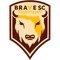 Brave SC Brave SC