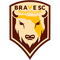 Brave SC