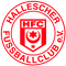 Hallescher FC U19