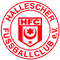 Hallescher FC U19