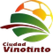 Ciudad Vinotinto U20