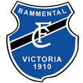 FC Bammental