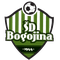 Bogojina