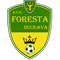 Foresta Suceava