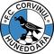 Corvinul Hunedoara