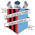 Uckfield Town